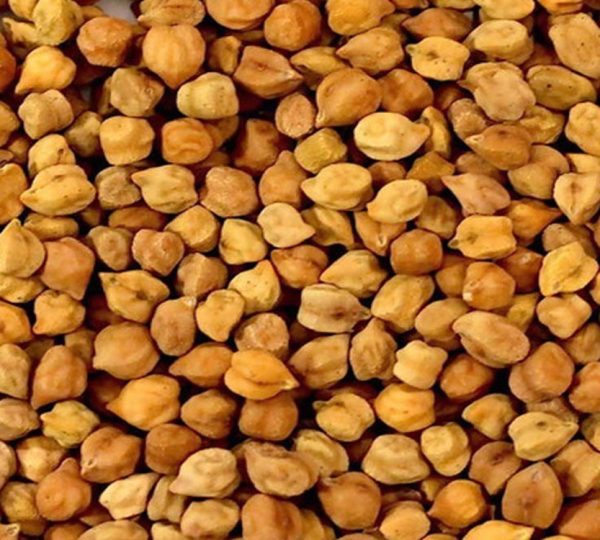 Desi Type ChickPeas