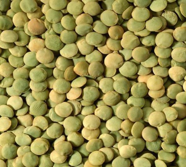 Green Lentils