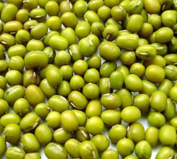 Green Mung Beans