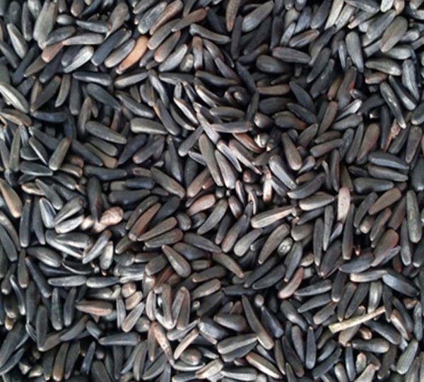 Niger Seed