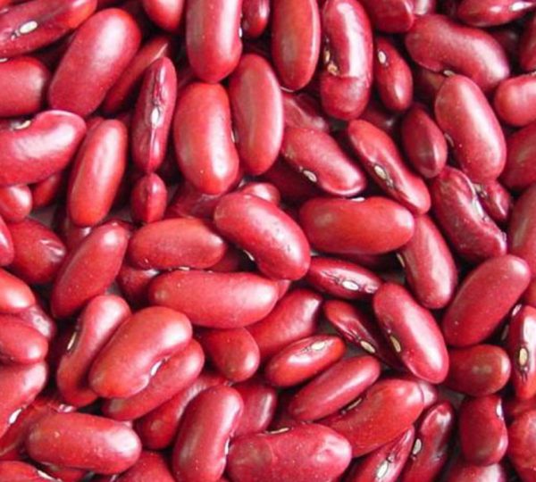 Red Kidney Beans