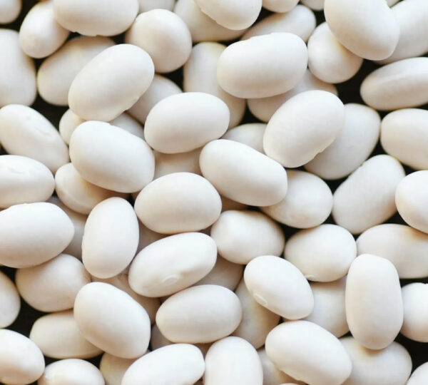 White Pea Beans